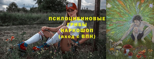 соль ск Балахна