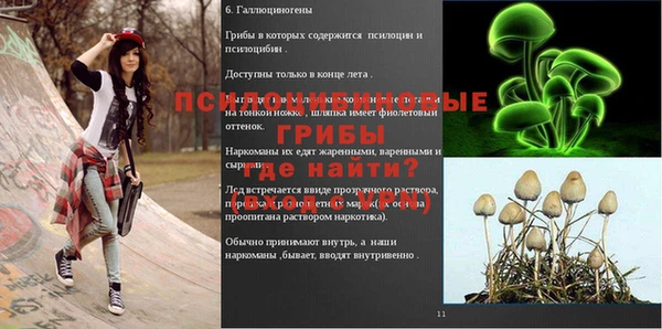 соль ск Балахна