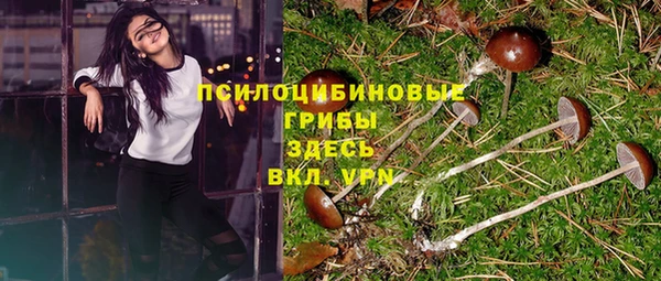 соль ск Балахна