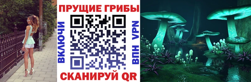 Псилоцибиновые грибы мицелий  купить наркотики сайты  Кущёвская 